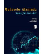 Muhasebe Alanında Spesifik Konular