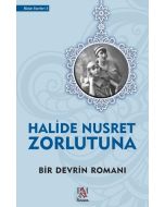 Bir Devrin Romanı