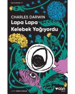 Lapa Lapa Kelebek Yağıyordu