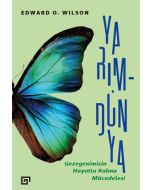 Yarım-Dünya