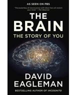 The Brain: The Story of You