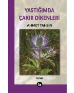 Yastığımda Çakır Dikenleri