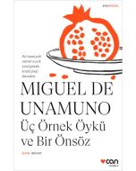 Üç Örnek Öykü ve Bir Önsöz