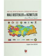 Kobi'lere, Büyük İşletmelere ve Girişimcilere Sağlanan Mali Destekler ve Hizmetler (Ciltli)