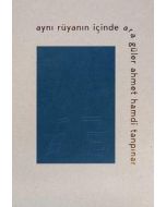 Aynı Rüyanın İçinde