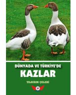 Dünyada Ve Türkiye'de Kazlar