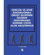Gençlik ve Spor Bakanlığında Örgüt İkliminin İşgören Performansı Üzerine Etkisi: Alan Araştırması