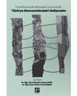 Temel Ekonomik Göstergeler Çerçevesinde Türkiye Ekonomisindeki Gelişmele