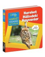Hareket Halindeki Hayvanlar - İlk Kitaplarım Serisi (Ciltli)