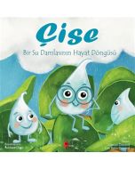Çise: Bir Su Damlasının Hayat Döngüsü