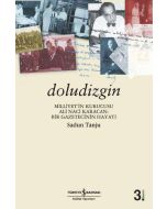 Doludizgin