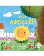 Küçük Ayçiçeği