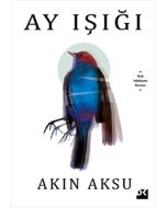 Ay Işığı
