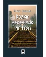 Bozkır Gecesinde Bir Tren