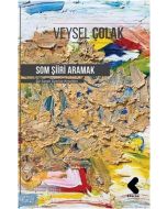Som Şiiri Aramak