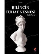 Bilincin Tuhaf Nesnesi