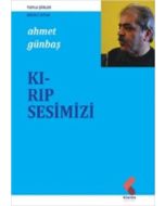 Kırıp Sesimizi