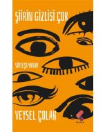 Şiirin Gizlisi Çok