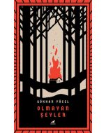 Olmayan Şeyler