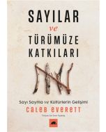Sayılar ve Türümüze Katkıları