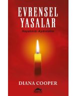 Evrensel Yasalar