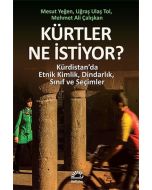 Kürtler Ne İstiyor?
