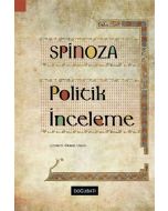 Politik İnceleme