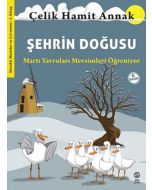 Şehrin Doğusu - Martı Yavruları Mevsimleri Öğreniyor