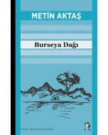 Burseya Dağı