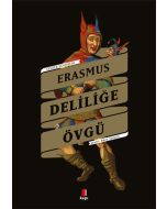 Deliliğe Övgü