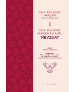 Sınai Mülkiyet Hakları Uygulamaları 1 - Sınai Mülkiyet Hukuku İle İlgili Mevzuat
