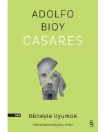 Güneşte Uyumak