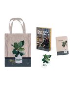 Ama Gitme Lavinia Set