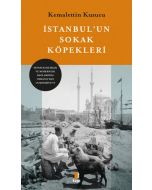İstanbul’un Sokak Köpekleri 