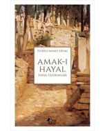 Amak-ı Hayal