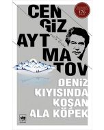 Deniz Kıyısında Koşan Ala Köpek