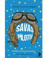 Savaş Pilotu