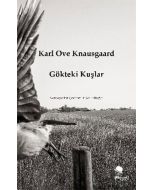 Gökteki Kuşlar