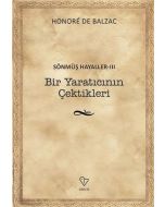 Sönmüş Hayaller 3-Bir Yaratıcının Çektikleri