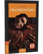 Frankenstein - Stage 4