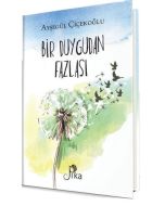 Bir Duygudan Fazlası