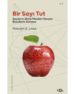 Bir Sayı Tut