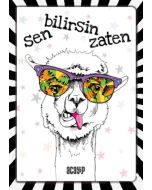 Çılgın Defterler