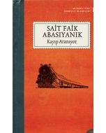 Kayıp Aranıyor (Ciltli)