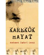 Karekök Hayat