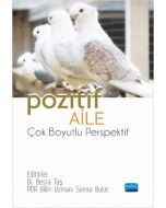 Pozitif Aile - Çok Boyutlu Perspektif