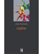 Cephe