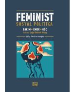 Feminist Sosyal Politika