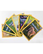 National Geographic Kids Okul Öncesi Seti - 7 Kitap Takım