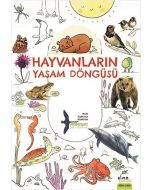 Hayvanların Yaşam Döngüsü